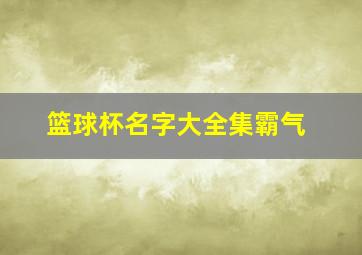 篮球杯名字大全集霸气