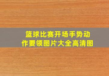 篮球比赛开场手势动作要领图片大全高清图