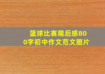 篮球比赛观后感800字初中作文范文图片