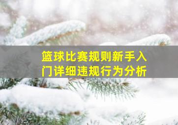 篮球比赛规则新手入门详细违规行为分析