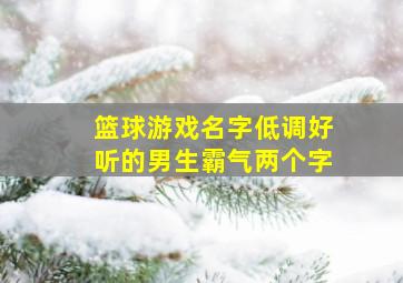 篮球游戏名字低调好听的男生霸气两个字