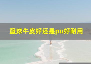 篮球牛皮好还是pu好耐用