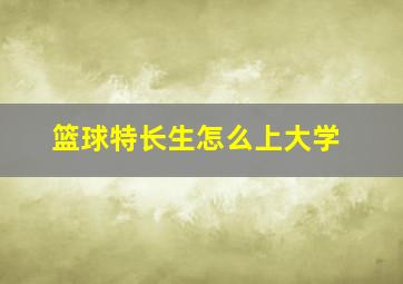 篮球特长生怎么上大学