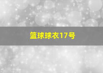 篮球球衣17号