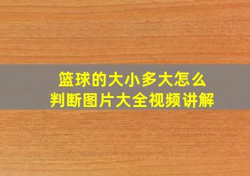 篮球的大小多大怎么判断图片大全视频讲解