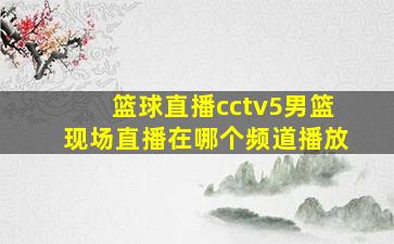 篮球直播cctv5男篮现场直播在哪个频道播放