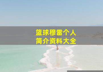 篮球穆雷个人简介资料大全