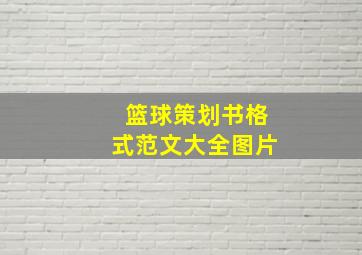 篮球策划书格式范文大全图片