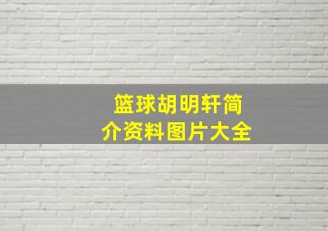 篮球胡明轩简介资料图片大全