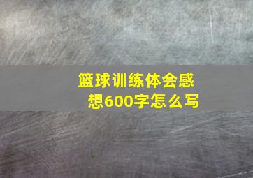 篮球训练体会感想600字怎么写