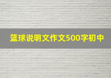 篮球说明文作文500字初中