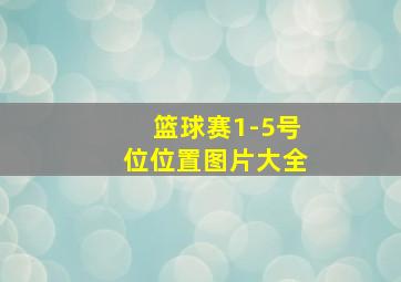 篮球赛1-5号位位置图片大全