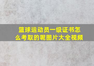 篮球运动员一级证书怎么考取的呢图片大全视频