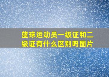 篮球运动员一级证和二级证有什么区别吗图片