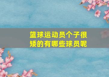 篮球运动员个子很矮的有哪些球员呢