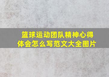 篮球运动团队精神心得体会怎么写范文大全图片