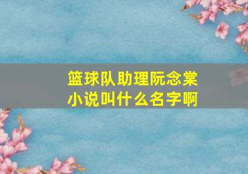 篮球队助理阮念棠小说叫什么名字啊