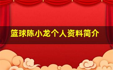 篮球陈小龙个人资料简介