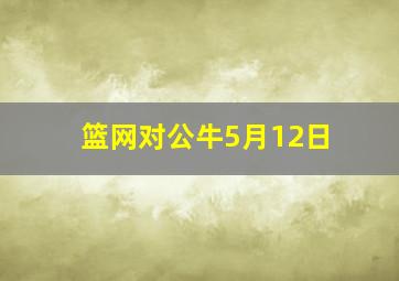 篮网对公牛5月12日