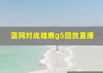 篮网对战雄鹿g5回放直播