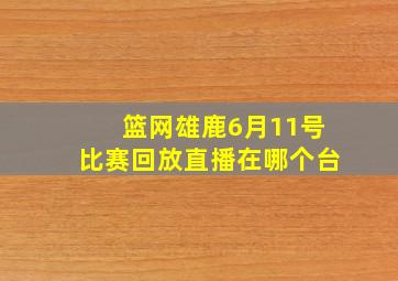 篮网雄鹿6月11号比赛回放直播在哪个台