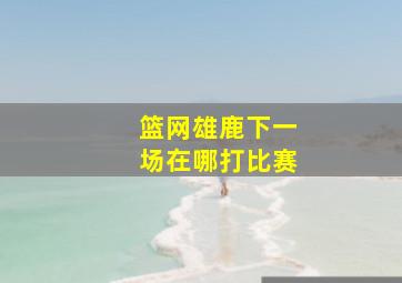 篮网雄鹿下一场在哪打比赛