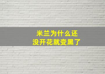 米兰为什么还没开花就变黑了