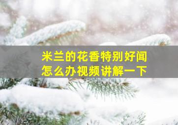 米兰的花香特别好闻怎么办视频讲解一下