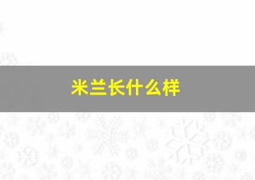 米兰长什么样