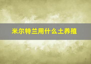 米尔特兰用什么土养殖