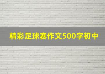 精彩足球赛作文500字初中