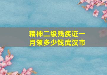 精神二级残疾证一月领多少钱武汉市