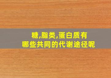 糖,脂类,蛋白质有哪些共同的代谢途径呢