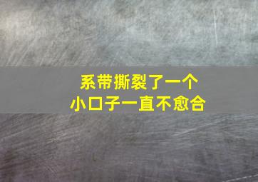 系带撕裂了一个小口子一直不愈合