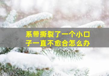 系带撕裂了一个小口子一直不愈合怎么办