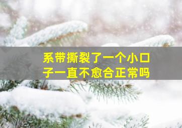 系带撕裂了一个小口子一直不愈合正常吗