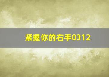 紧握你的右手0312