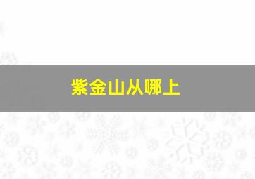 紫金山从哪上