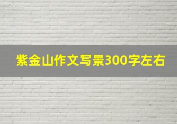 紫金山作文写景300字左右