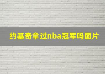 约基奇拿过nba冠军吗图片