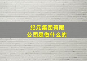 纪元集团有限公司是做什么的