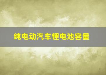 纯电动汽车锂电池容量