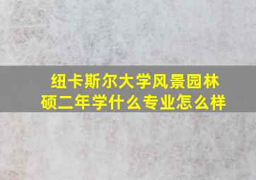 纽卡斯尔大学风景园林硕二年学什么专业怎么样