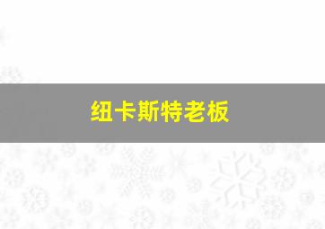 纽卡斯特老板