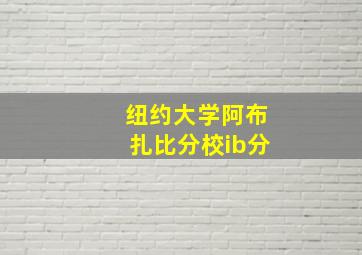 纽约大学阿布扎比分校ib分