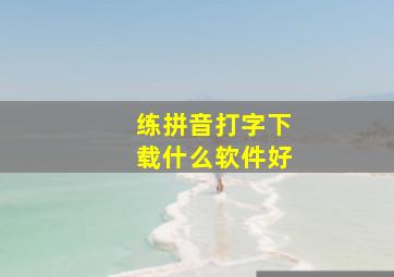 练拼音打字下载什么软件好