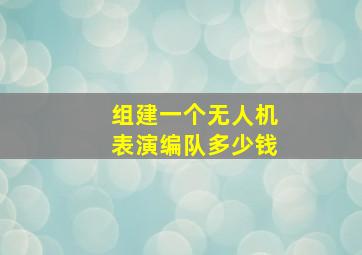 组建一个无人机表演编队多少钱