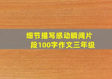 细节描写感动瞬间片段100字作文三年级