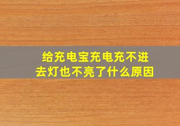 给充电宝充电充不进去灯也不亮了什么原因