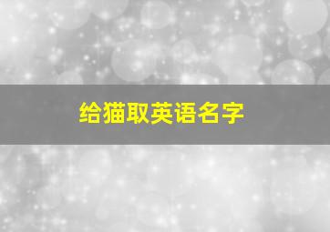 给猫取英语名字